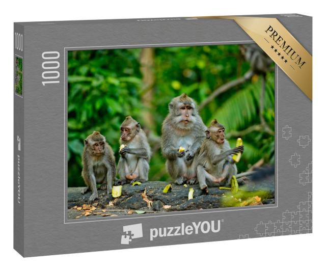 Puzzle 1000 Teile „Erwachsene Affen sitzen und essen Bananenfrüchte, Bali“