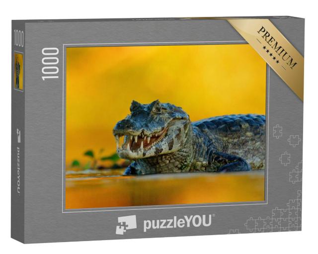 Puzzel 1000 stukjes „Yacare kaaiman, een krokodil in de rivier, Pantanal, Brazilië“