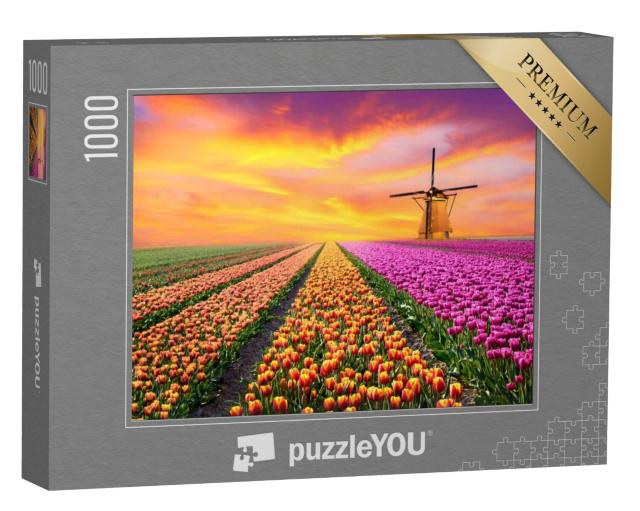 Puzzel 1000 stukjes „Landschap met zonsopgang boven een tulpenveld in Nederland“