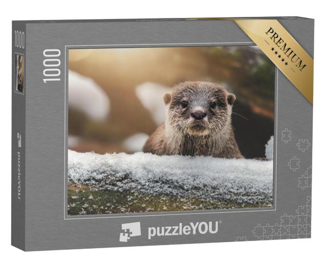 Puzzel 1000 stukjes „Portretstudie van een otter“