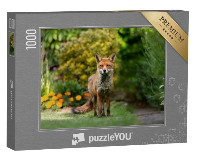 Puzzel 1000 stukjes „Close-up van een rode vos“