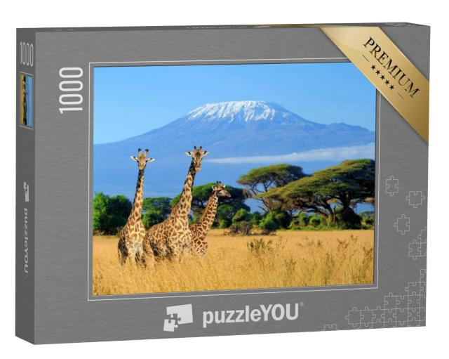 Puzzel 1000 stukjes „Giraffen op de Kilimanjaro, foto uit het nationale park in Kenia“