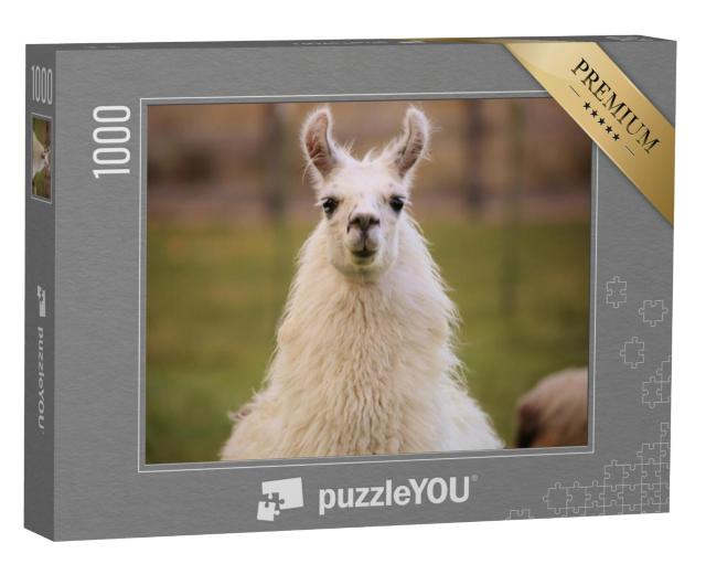 Puzzel 1000 stukjes „Lama“