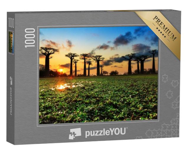 Puzzel 1000 stukjes „Oude baobabs op de baobabslaan, Madagaskar“