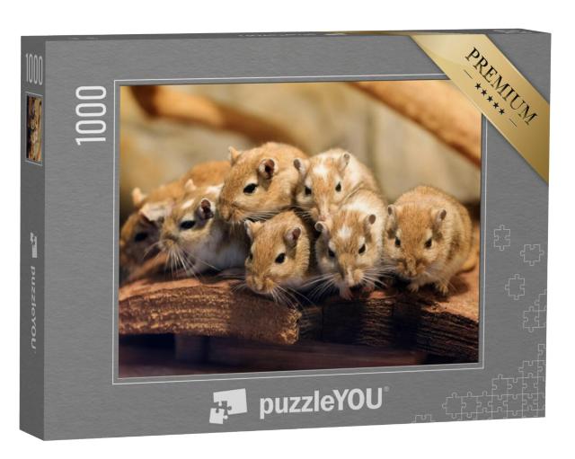 Puzzel 1000 stukjes „Mongoolse gerbils in een dicht opeengepakte groep“