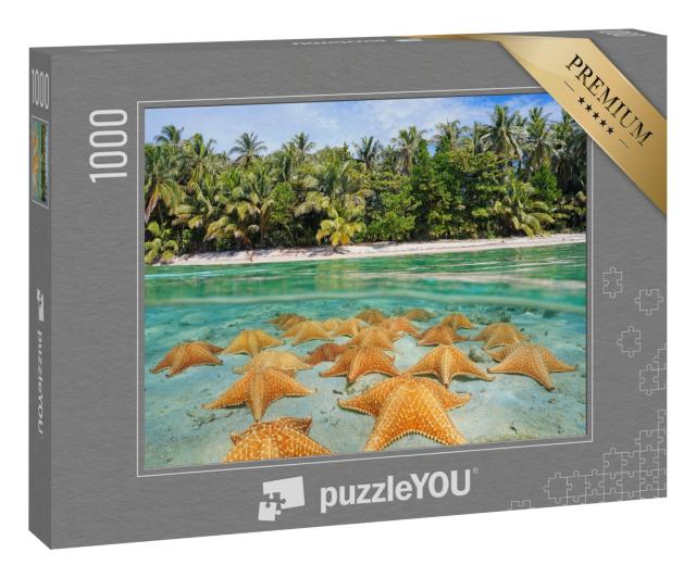 Puzzle 1000 Teile „Unter und über Wasser: Eine Gruppe Seesterne am karibischen Strand“