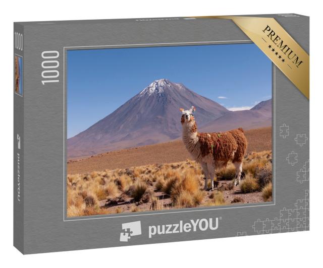 Puzzle 1000 Teile „Lama, hinter ihm der Vulkan Licancabur an der Grenze zwischen Bolivien und Chile“