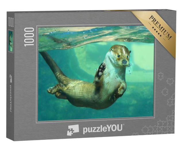 Puzzel 1000 stukjes „De Europese otter onder water“