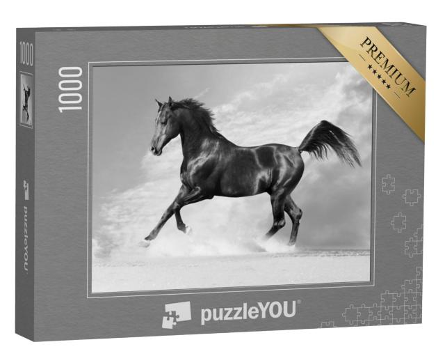 Puzzel 1000 stukjes „Zwarte Arabier in de winter“