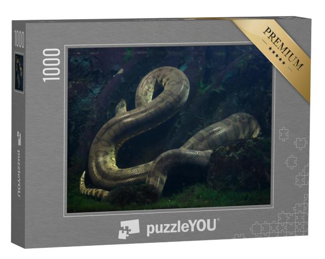 Puzzel 1000 stukjes „Groene anaconda, Eunectes murinus“