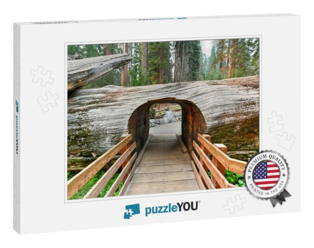 Entrance to Grove with Giant Sequoia Trees, General Sherm... Jigsaw Puzzle