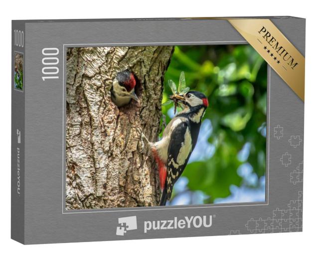 Puzzel 1000 stukjes „Grote bonte specht voedt een kuiken“