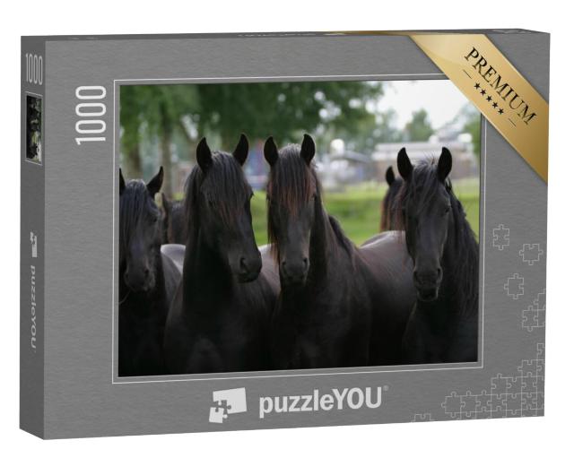 Puzzel 1000 stukjes „Friese jonge hengsten“