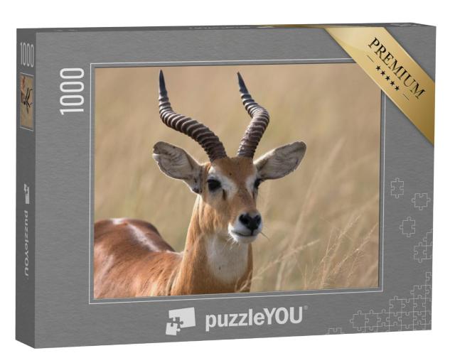 Puzzel 1000 stukjes „Oegandese kob-antilope, Afrika“