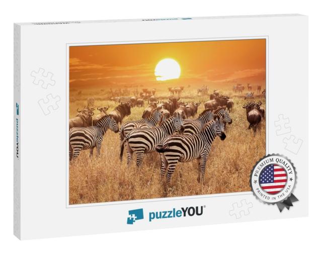 Zebra At Sunset in the Serengeti National Park. Africa. T... Jigsaw Puzzle
