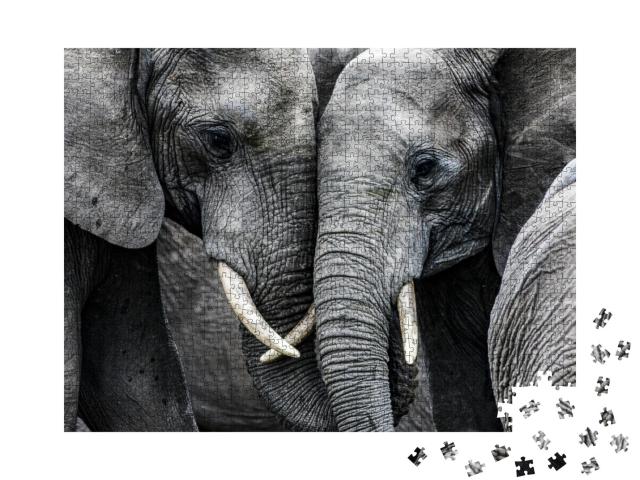 Puzzle 1000 Teile „Elefanten“