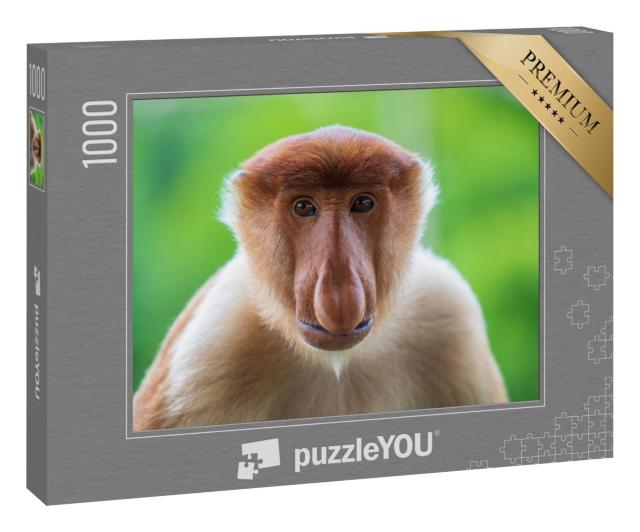 Puzzle 1000 Teile „Proboscis-Affe oder Nasalis larvatus auf Borneo“