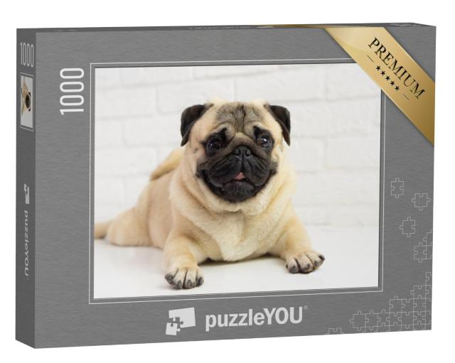 Puzzel 1000 stukjes „Klein mopshondje“