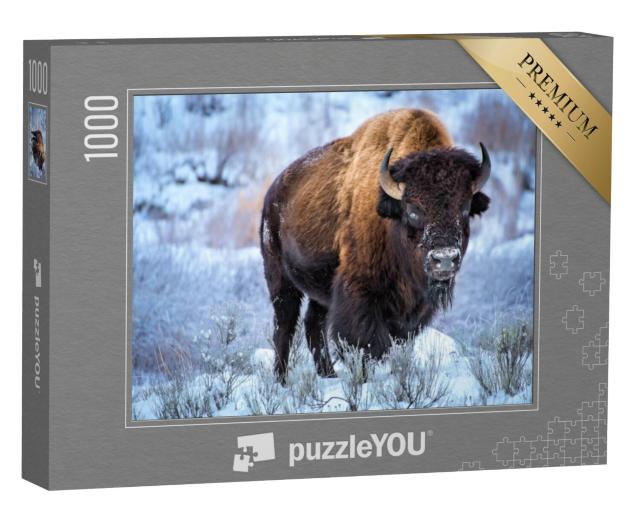 Puzzel 1000 stukjes „Amerikaanse bizon in de sneeuw, Yellowstone National Park“