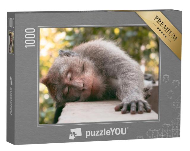 Puzzel 1000 stukjes „Langstaartige Balinese aap slaapt op de stoep“