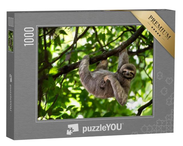 Puzzel 1000 stukjes „Schattige luiaard in perfecte pose op de boom“