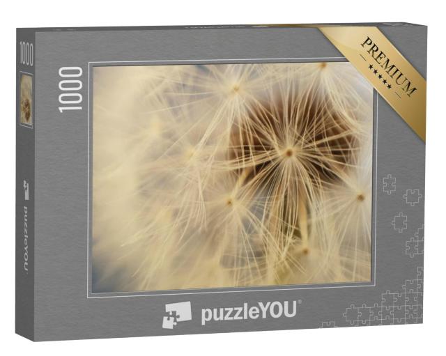 Puzzel 1000 stukjes „Wit pluizig bloemhoofdje van een paardenbloem, paardenbloem“