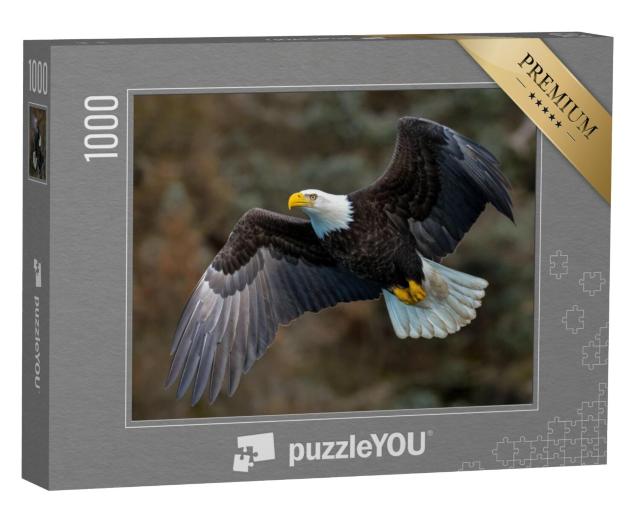 Puzzel 1000 stukjes „Zeearend op een berghelling in Alaska“