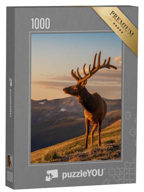 Puzzel 1000 stukjes „Wilde eland“