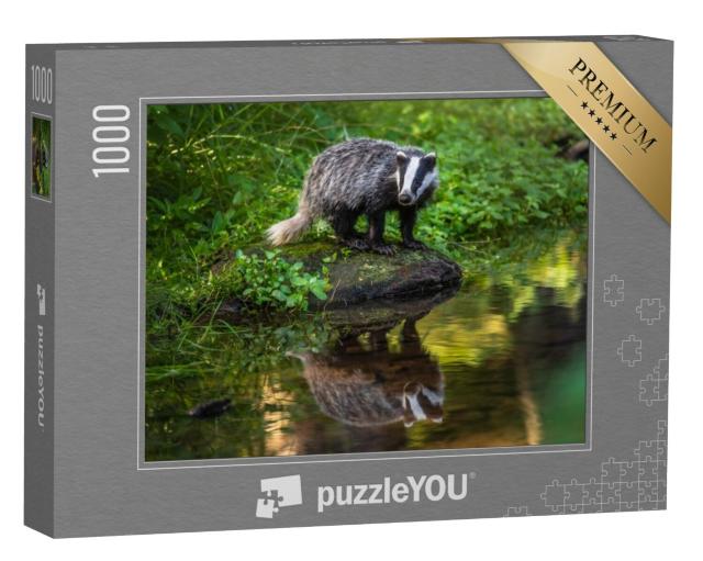 Puzzel 1000 stukjes „Das in zijn boshabitat, Duitsland, Europa“