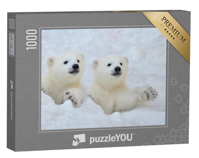 Puzzel 1000 stukjes „Twee witte ijsbeerwelpen in de sneeuw“