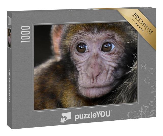 Puzzle 1000 Teile „Naher Verwandter des Menschen: ein Affe“