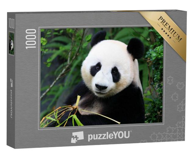 Puzzel 1000 stukjes „Een pandabeer geniet van bamboescheuten“