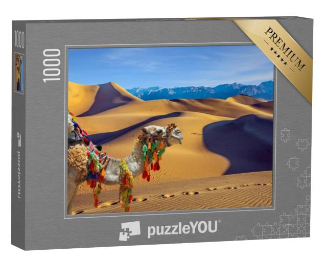 Puzzel 1000 stukjes „Eenbultige kameel, dromedaris“