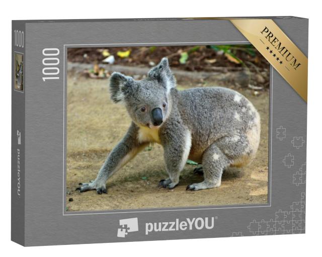 Puzzel 1000 stukjes „Close-up van een koala“