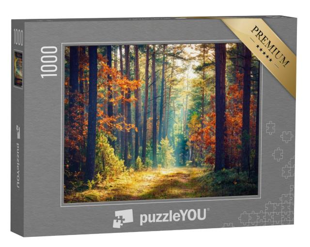 Puzzel 1000 stukjes „Zonnig herfstbos“