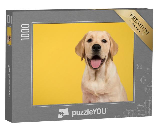 Puzzel 1000 stukjes „Portret van een gouden Labrador retriever“