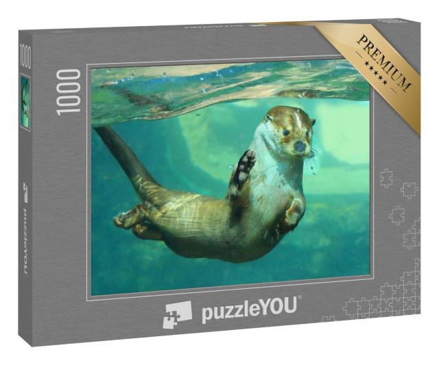 Puzzle 1000 Teile „Der Europäische Fischotter unter Wasser“