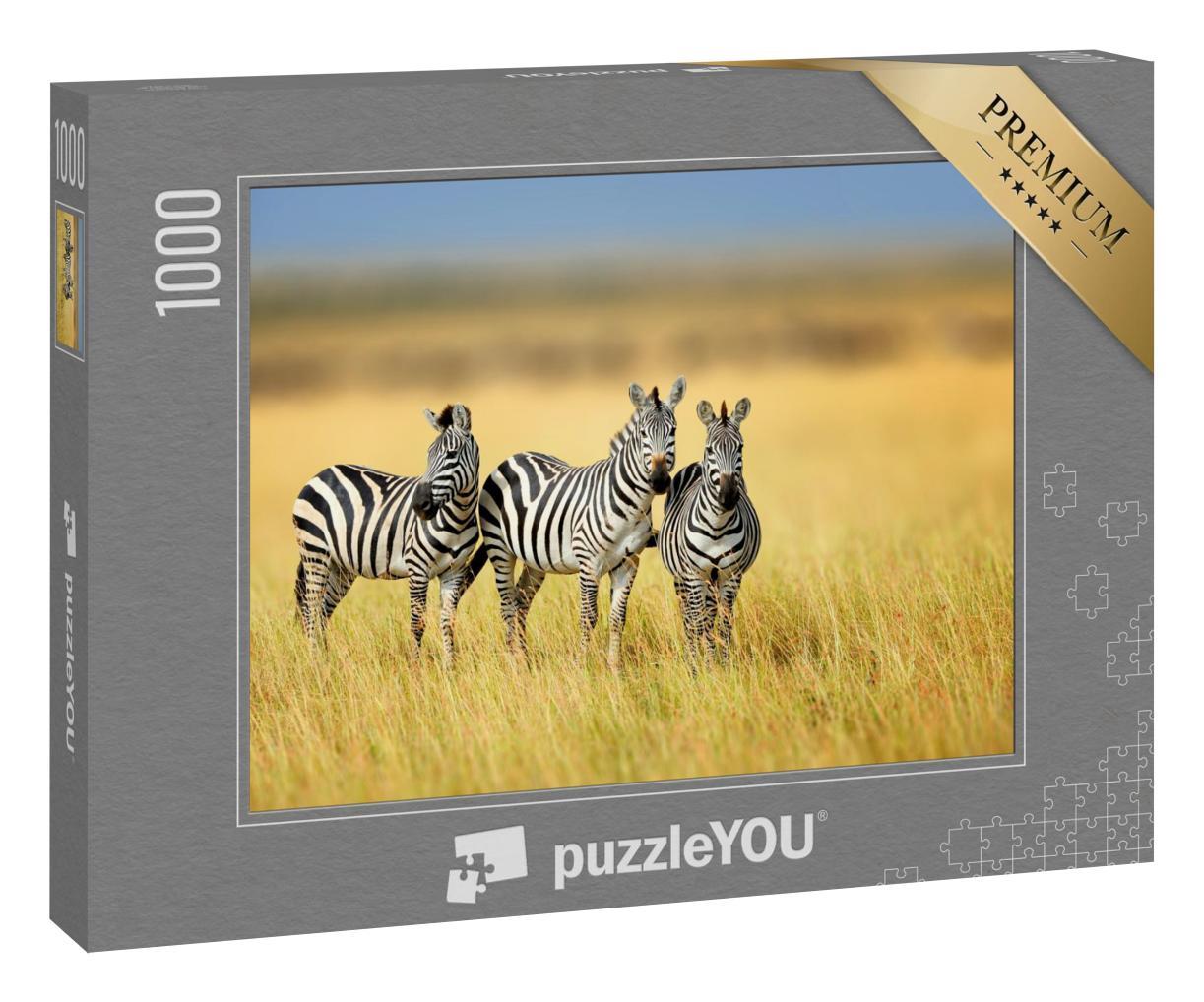 Puzzle 1000 Teile „Drei Zebras im kenianischen National Park“