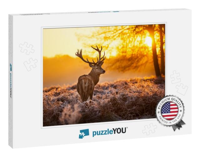 Red Deer in Morning Sun... Jigsaw Puzzle