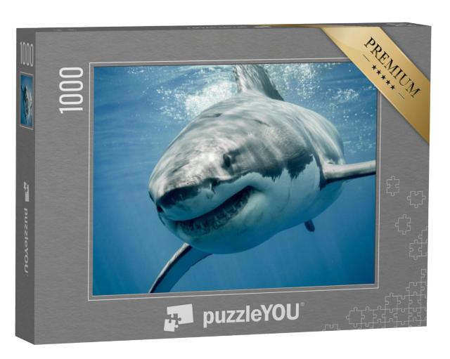 Puzzel 1000 stukjes „Grote witte haai“