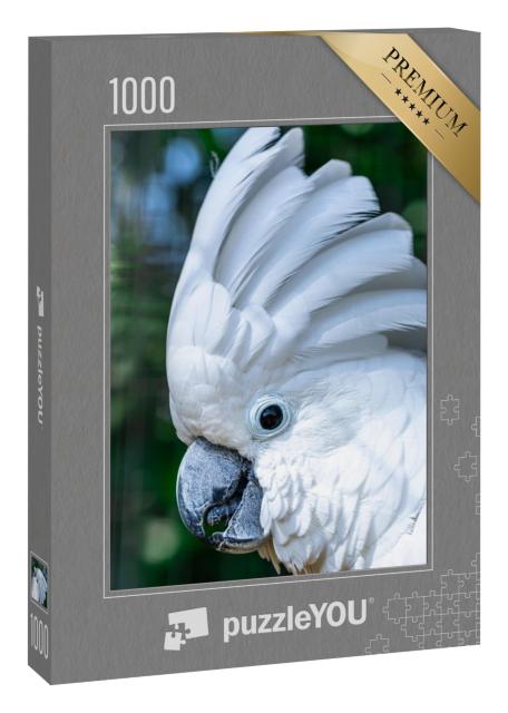 Puzzle 1000 Teile „Der Weiße Kakadu, Cacatua alba“