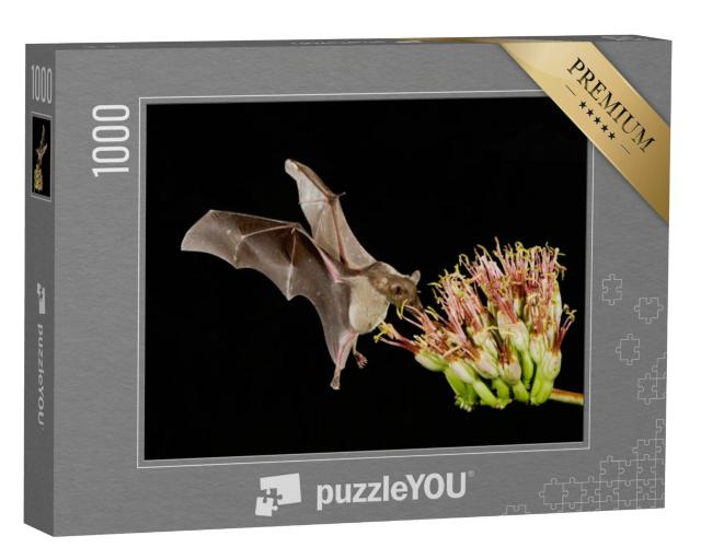 Puzzel 1000 stukjes „Kleine langneusvleermuis in vlucht rond een agavebloem“