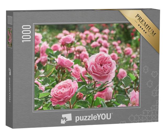 Puzzel 1000 stukjes „Een zee van roze rozen“