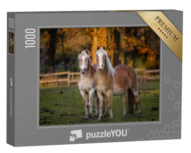 Puzzel 1000 stukjes „Twee paarden in een herfstweide“