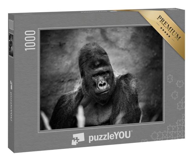 Puzzle 1000 Teile „Porträt eines männlichen Gorillas, schwerer Silberrücken“