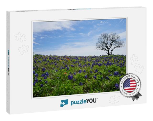 Patch of Bluebonnet Wildflowers with Green Country Backgr... Jigsaw Puzzle