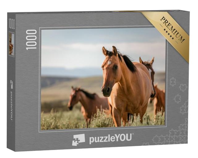 Puzzel 1000 stukjes „American Quarter Horse Ranch paarden in Wyoming, Verenigde Staten“