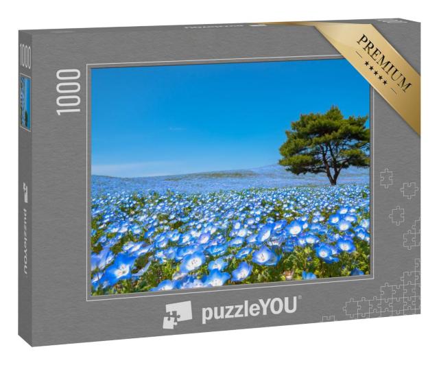 Puzzle 1000 Teile „Blauer Blumenteppich im Hitachi Seaside Park, Japan“