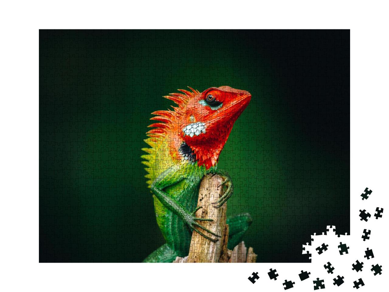Puzzle 1000 Teile „Gewöhnliche grüne Waldeidechse, oranger Kopf“