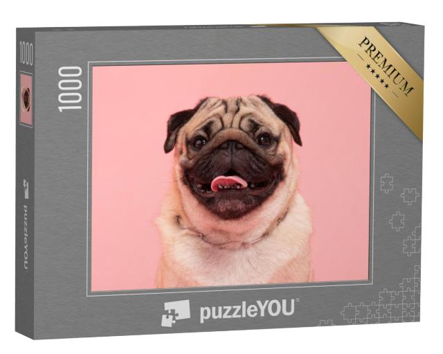 Puzzel 1000 stukjes „Een mopshond op een roze achtergrond“